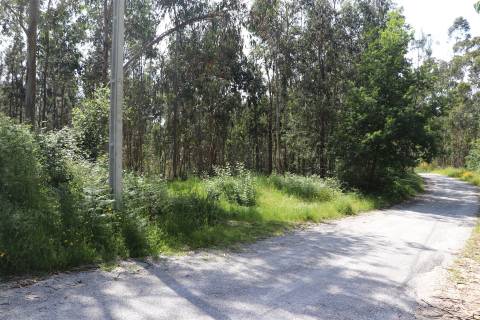 Lote de Terreno  Venda em Lustosa e Barrosas (Santo Estêvão),Lousada