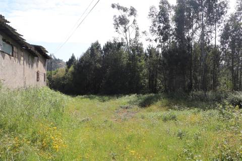 Lote de Terreno  Venda em Lustosa e Barrosas (Santo Estêvão),Lousada