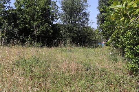 Lote de Terreno  Venda em Campo (São Martinho), São Salvador do Campo e Negrelos (São Mamede),Santo Tirso