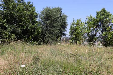 Lote de Terreno  Venda em Campo (São Martinho), São Salvador do Campo e Negrelos (São Mamede),Santo Tirso