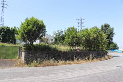 Lote de Terreno  Venda em Campo (São Martinho), São Salvador do Campo e Negrelos (São Mamede),Santo Tirso