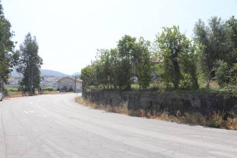 Lote de Terreno  Venda em Campo (São Martinho), São Salvador do Campo e Negrelos (São Mamede),Santo Tirso