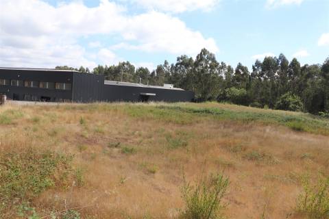 Lote de Terreno  Venda em Lustosa e Barrosas (Santo Estêvão),Lousada