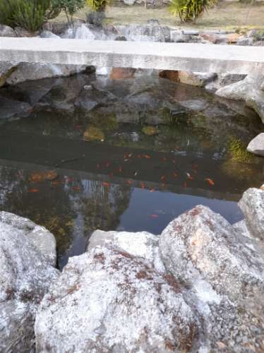 Herdade  Venda em Sousela,Lousada