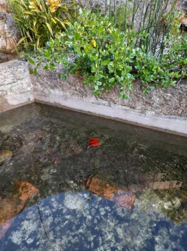 Herdade  Venda em Sousela,Lousada