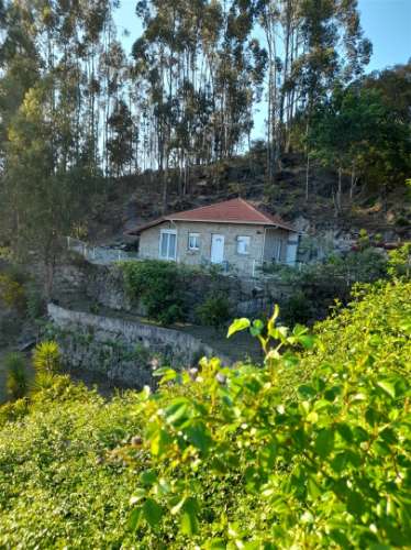 Herdade  Venda em Sousela,Lousada