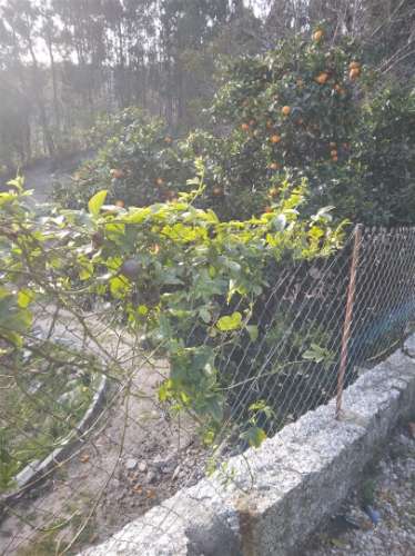 Herdade  Venda em Sousela,Lousada