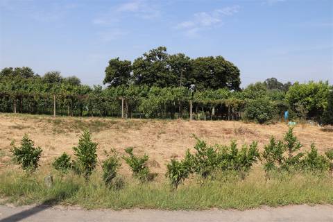 Lote de Terreno  Venda em Freamunde,Paços de Ferreira