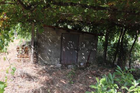 Lote de Terreno  Venda em Freamunde,Paços de Ferreira