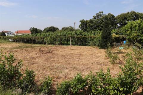 Lote de Terreno  Venda em Freamunde,Paços de Ferreira