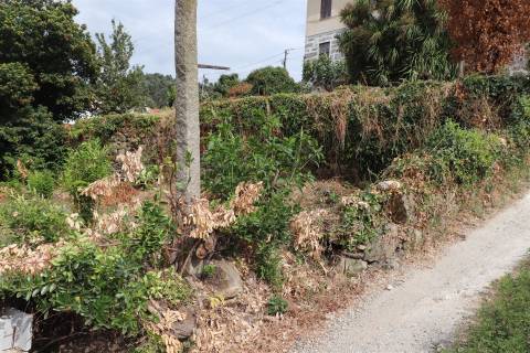 Lote de Terreno  Venda em Negrelos (São Tomé),Santo Tirso