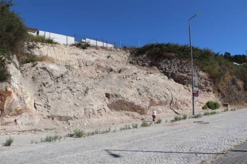 Lote de Terreno  Venda em Cristelos, Boim e Ordem,Lousada