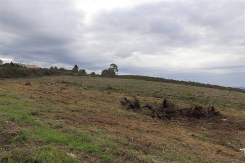 Lote de Terreno  Venda em Lustosa e Barrosas (Santo Estêvão),Lousada