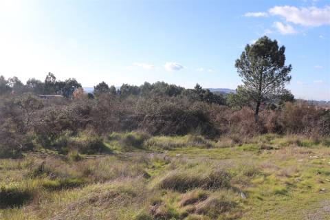 Lote de Terreno  Venda em Lustosa e Barrosas (Santo Estêvão),Lousada