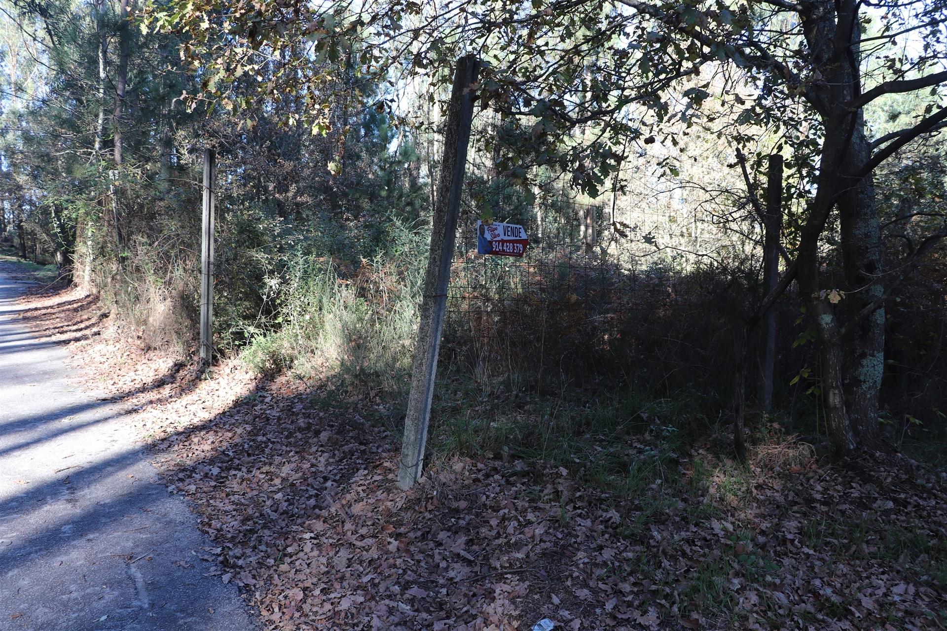 Lote de Terreno  Venda em Sousela,Lousada