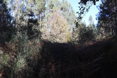 Lote de Terreno  Venda em Sousela,Lousada