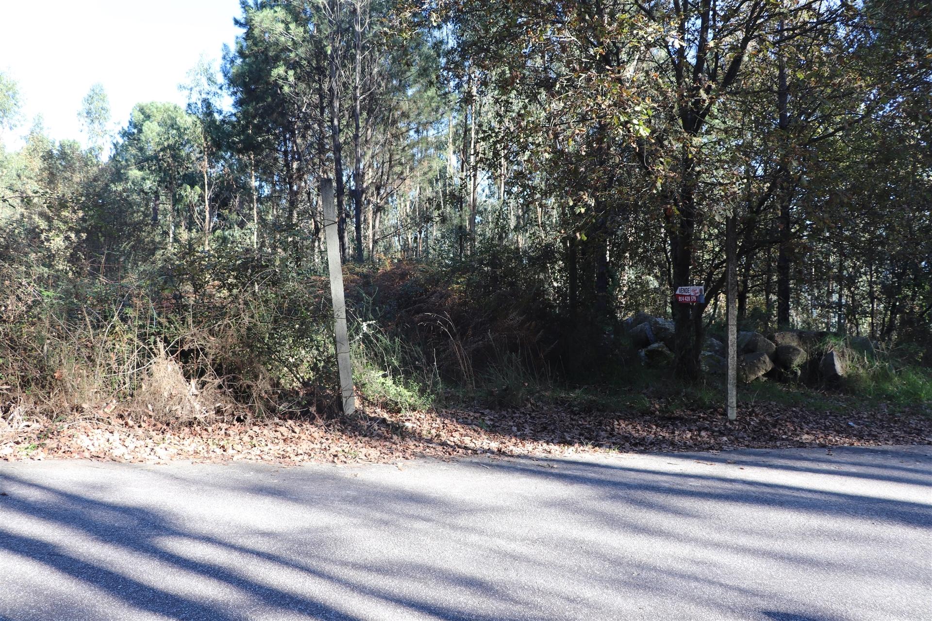 Lote de Terreno  Venda em Sousela,Lousada