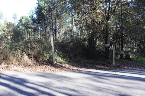 Lote de Terreno  Venda em Sousela,Lousada