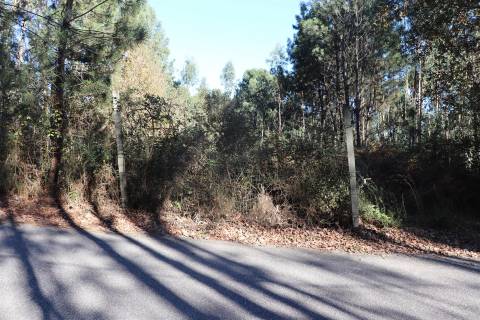 Lote de Terreno  Venda em Sousela,Lousada