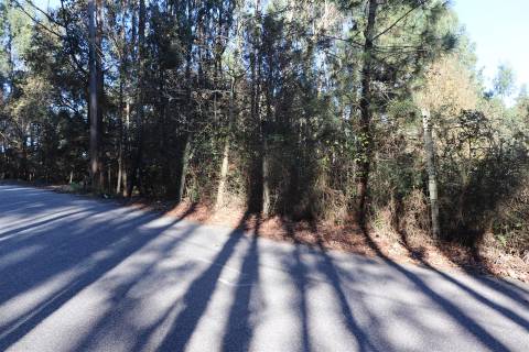 Lote de Terreno  Venda em Sousela,Lousada