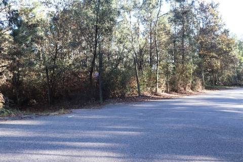 Lote de Terreno  Venda em Sousela,Lousada