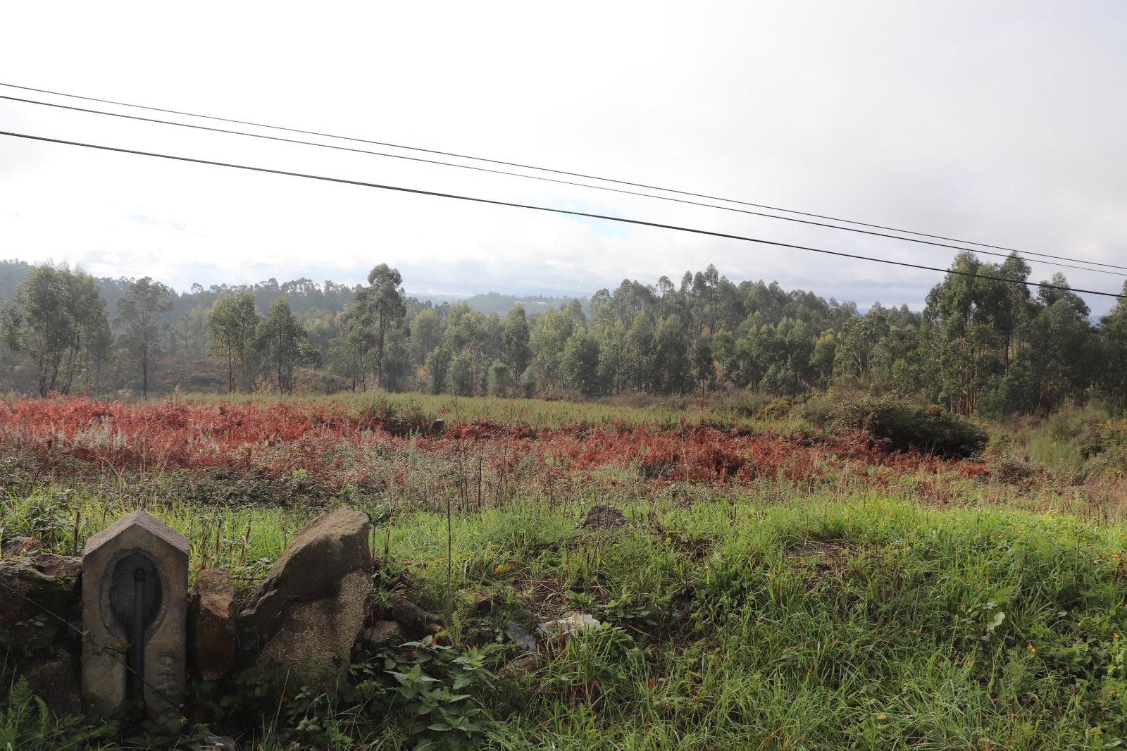 Lote de Terreno  Venda em Lustosa e Barrosas (Santo Estêvão),Lousada