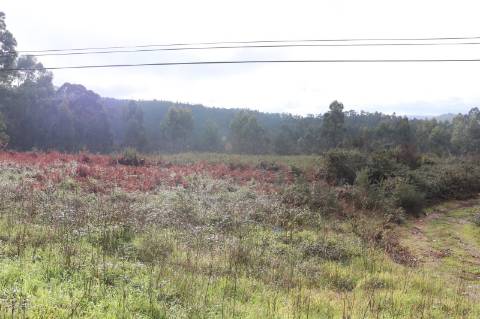 Lote de Terreno  Venda em Lustosa e Barrosas (Santo Estêvão),Lousada