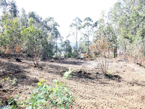 Terreno Para Construção  Venda em Lustosa e Barrosas (Santo Estêvão),Lousada