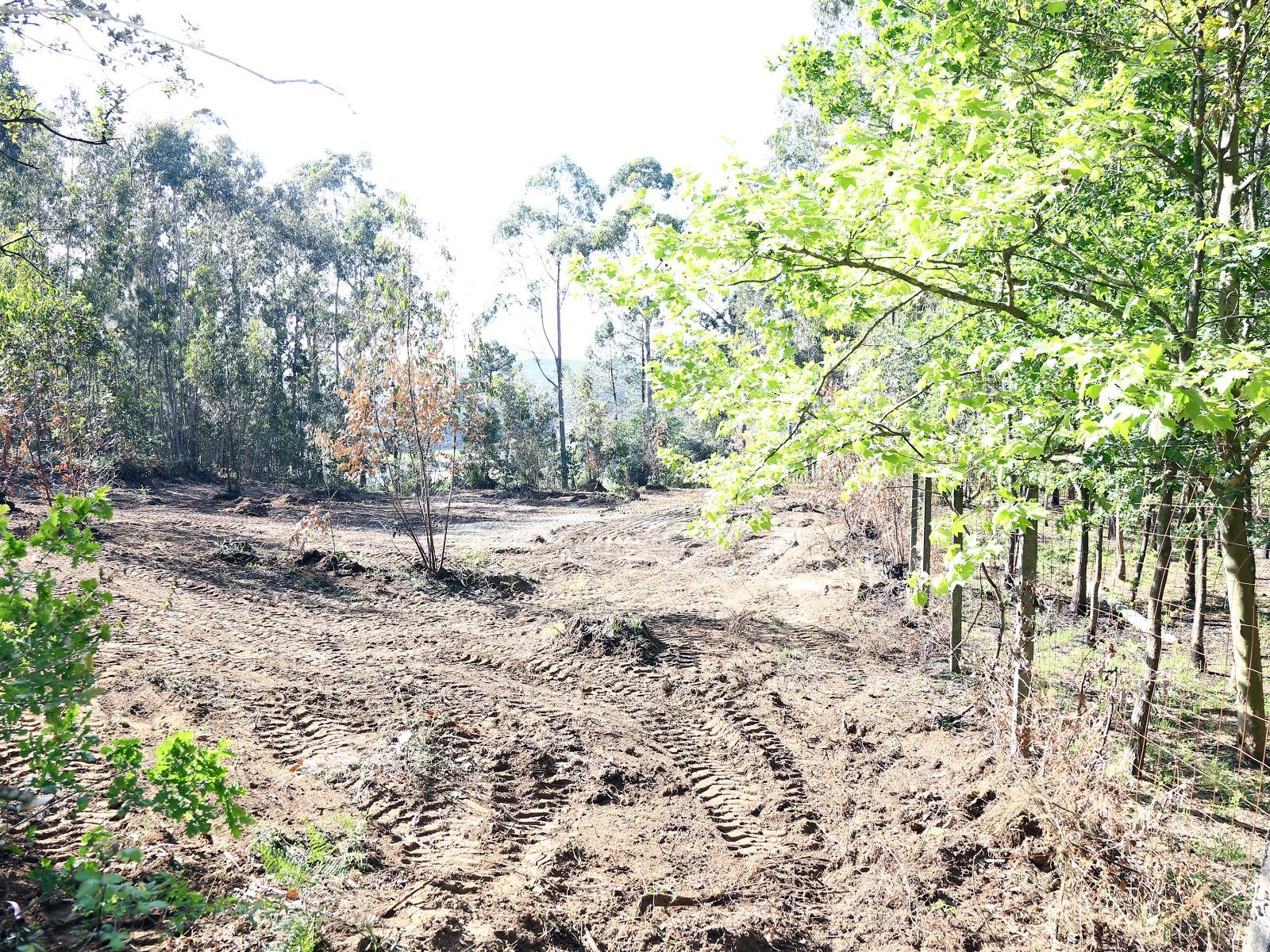 Terreno Para Construção  Venda em Lustosa e Barrosas (Santo Estêvão),Lousada