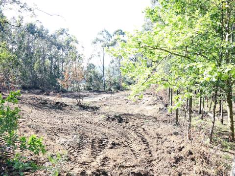 Terreno Para Construção  Venda em Lustosa e Barrosas (Santo Estêvão),Lousada