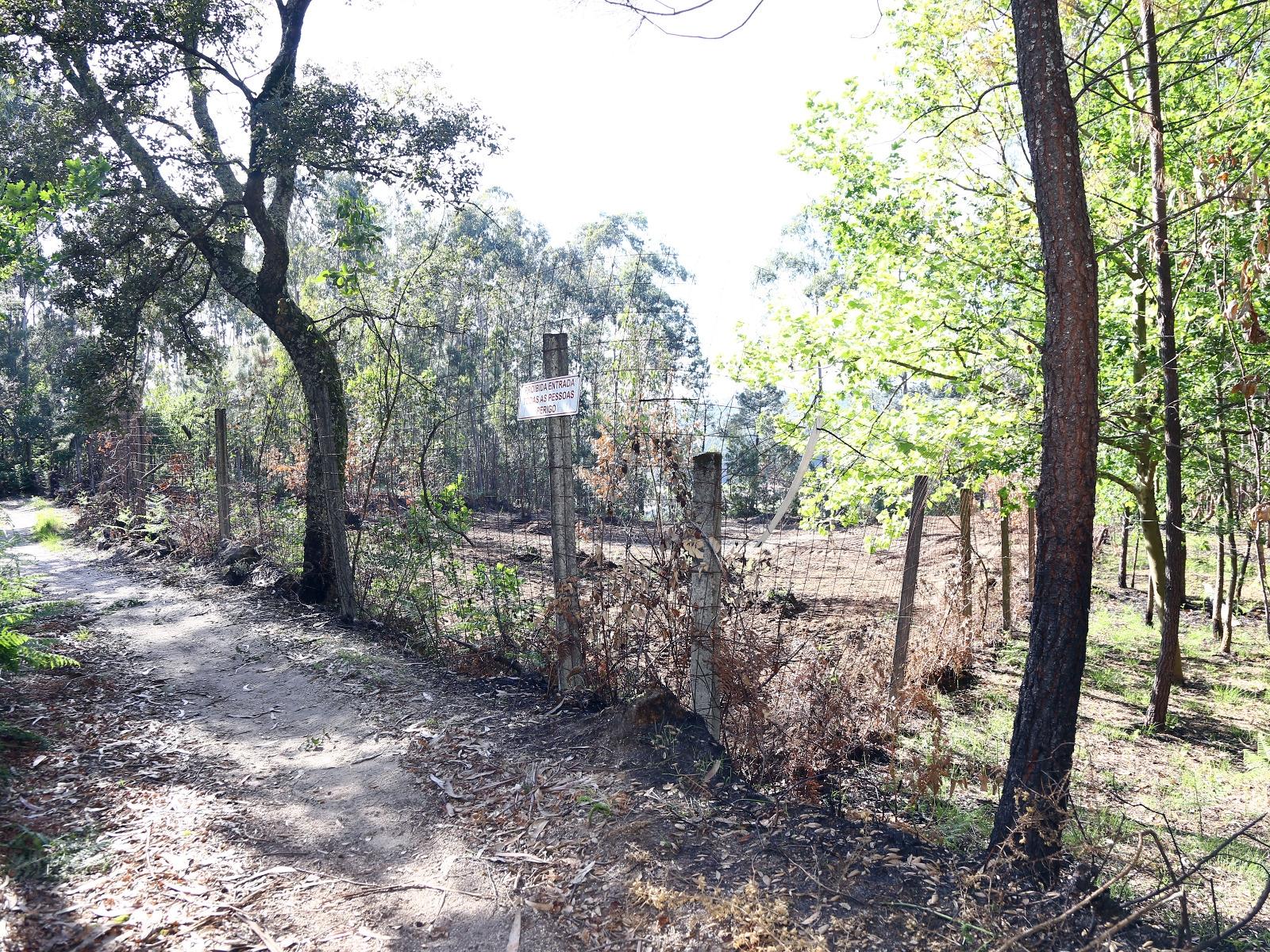 Terreno Para Construção  Venda em Lustosa e Barrosas (Santo Estêvão),Lousada
