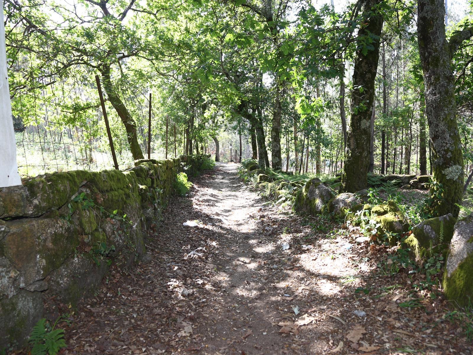 Terreno Para Construção  Venda em Lustosa e Barrosas (Santo Estêvão),Lousada