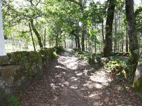 Terreno Para Construção  Venda em Lustosa e Barrosas (Santo Estêvão),Lousada