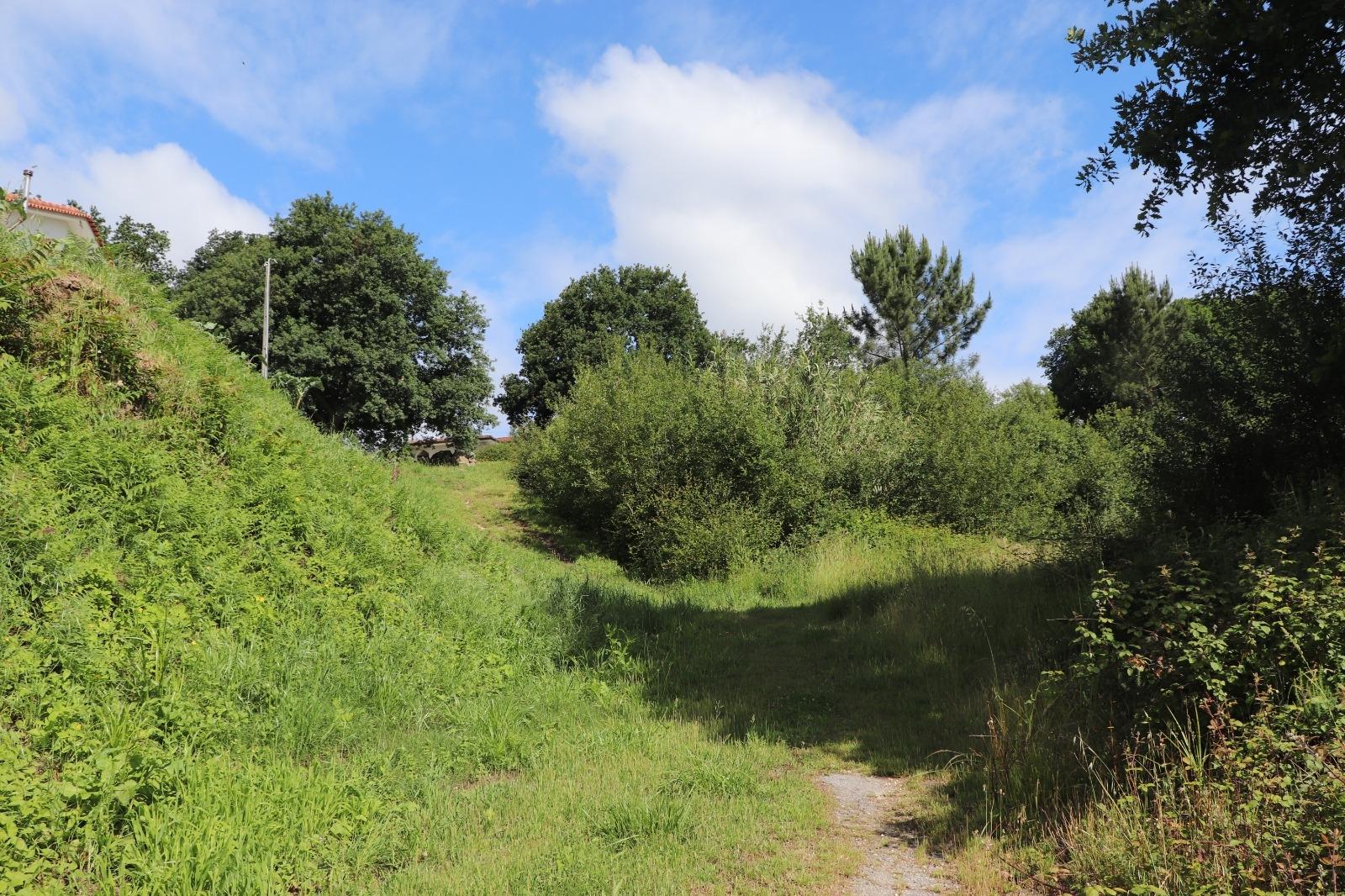 Lote Industrial  Venda em Brito,Guimarães