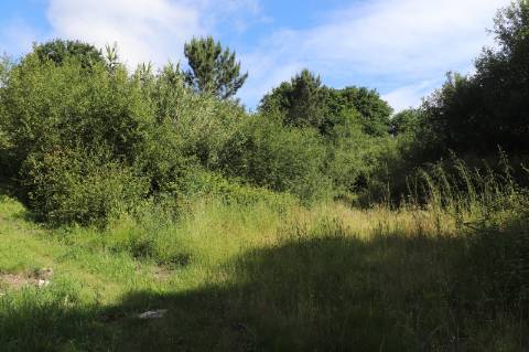 Lote Industrial  Venda em Brito,Guimarães