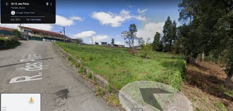 Terreno  Venda em Nogueira do Cravo e Pindelo,Oliveira de Azeméis