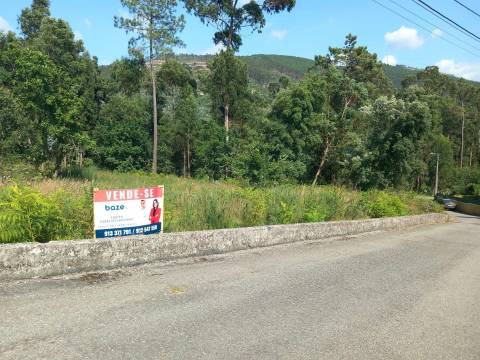 Terreno  Venda em Nogueira do Cravo e Pindelo,Oliveira de Azeméis