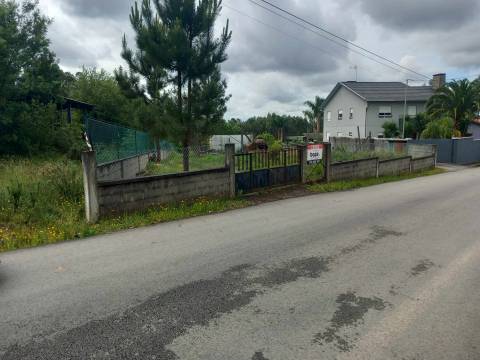 Lote de Terreno  Venda em Pinheiro da Bemposta, Travanca e Palmaz,Oliveira de Azeméis