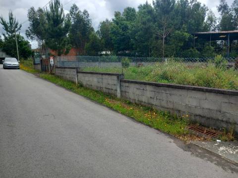 Lote de Terreno  Venda em Pinheiro da Bemposta, Travanca e Palmaz,Oliveira de Azeméis