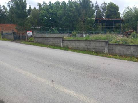 Lote de Terreno  Venda em Pinheiro da Bemposta, Travanca e Palmaz,Oliveira de Azeméis