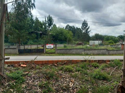 Lote de Terreno  Venda em Pinheiro da Bemposta, Travanca e Palmaz,Oliveira de Azeméis