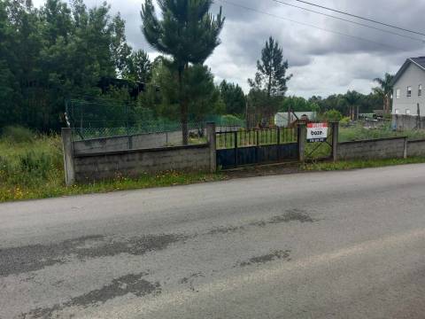 Lote de Terreno  Venda em Pinheiro da Bemposta, Travanca e Palmaz,Oliveira de Azeméis