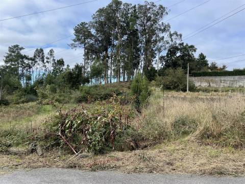 Terreno Para Construção  Venda em São Roque,Oliveira de Azeméis