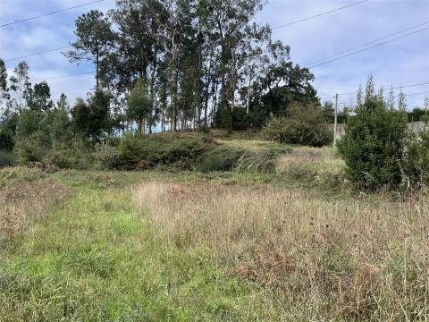 Terreno Para Construção  Venda em São Roque,Oliveira de Azeméis