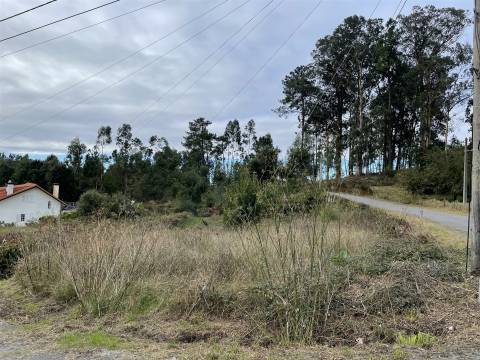 Terreno Para Construção  Venda em São Roque,Oliveira de Azeméis
