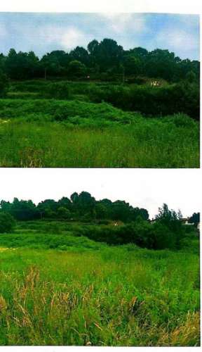 Terreno Para Construção  Venda em Oliveira de Azeméis, Santiago de Riba-Ul, Ul, Macinhata da Seixa e Madail,Oliveira de Azeméis
