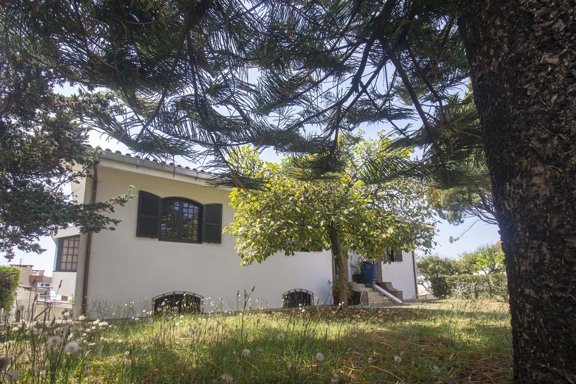 Moradia Isolada T3+2 Venda em Arrifana,Santa Maria da Feira