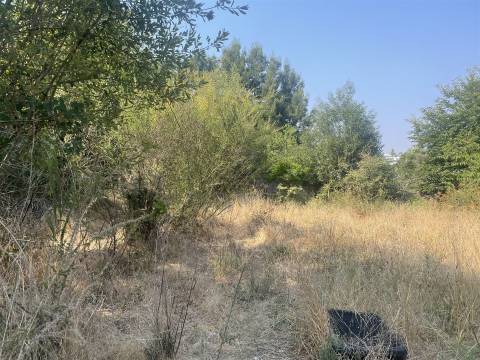 Terreno Para Construção  Venda em Vila de Cucujães,Oliveira de Azeméis