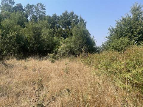 Terreno Para Construção  Venda em Vila de Cucujães,Oliveira de Azeméis