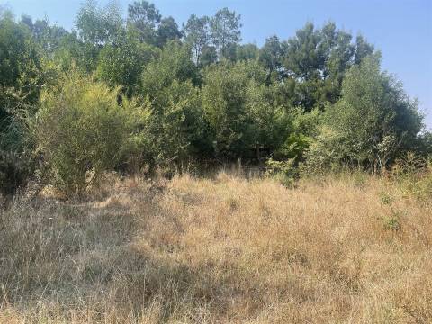 Terreno Para Construção  Venda em Vila de Cucujães,Oliveira de Azeméis